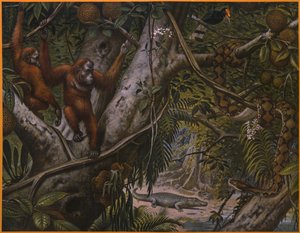 熱帯雨林の野生動物 作： Marinus Adrianus Koekkoek